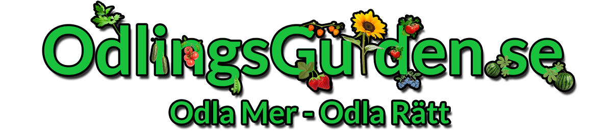 OdlingsGuiden.se